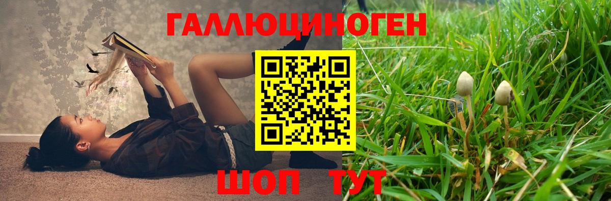 Галлюциногенные грибы GOLDEN TEACHER  Вход с VPN  закладки  Гулькевичи 